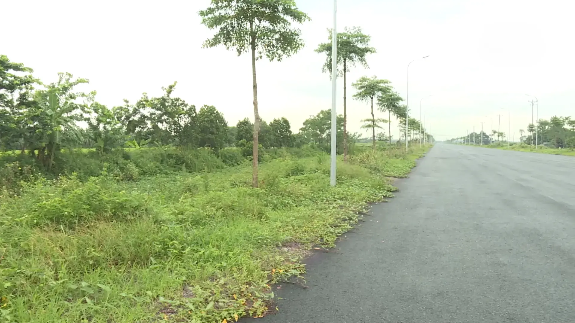 Cần sớm xem xét trả lời kiến nghị của người dân | Hộp thư truyền hình | 06/09/2025